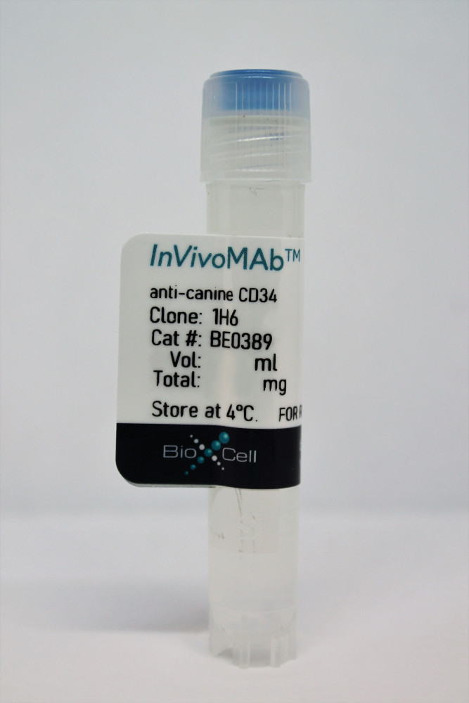 InVivoMAb anti-canine CD34