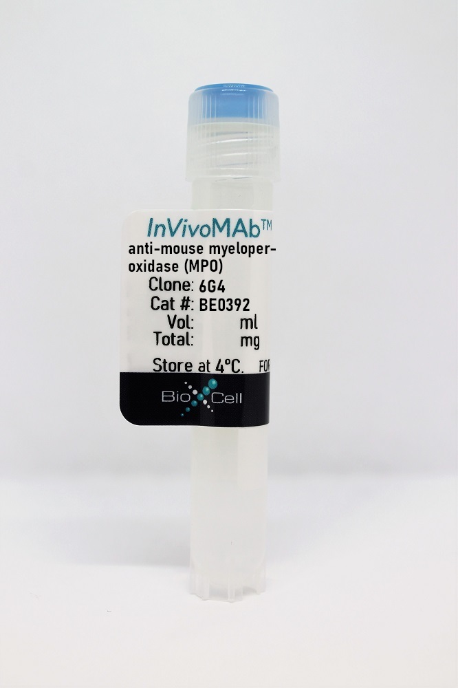 InVivoMAb anti-mouse myeloperoxidase (MPO)