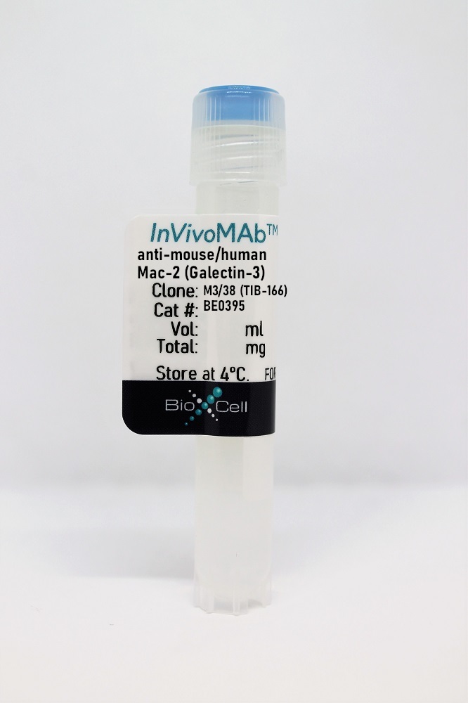 InVivoMAb anti-mouse/human Mac-2 (Galectin-3)