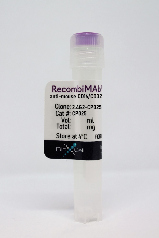 RecombiMAb anti-mouse CD16/CD32