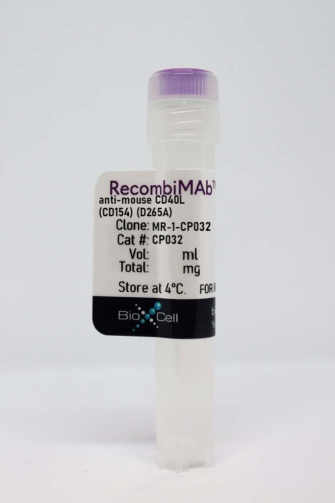 RecombiMAb anti-mouse CD40L (CD154) (D265A)